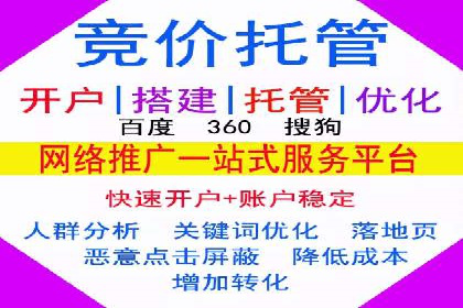 行业内的SEM竞价策略与效果对比案例